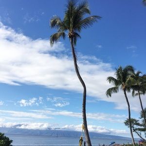 Meet your Posher, Eli